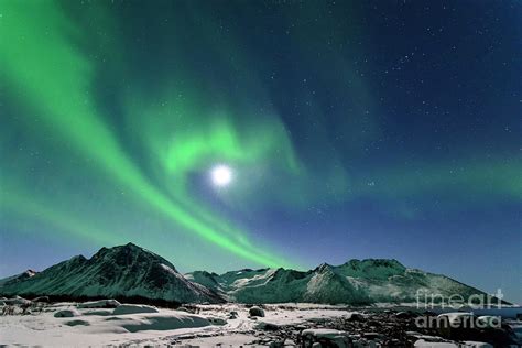 Aurora Northern Polar Light In Night Sky Over Northern Norway