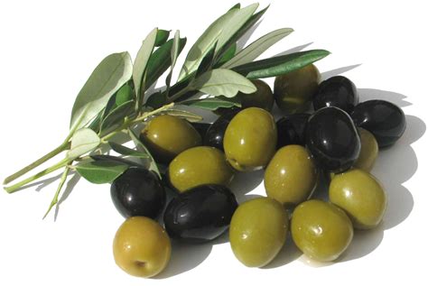 Truly Raw Organic Olives And Oil From Northern California The Raw Veganista