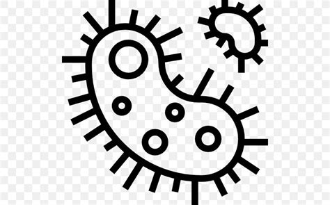 Bacteria Microorganism Biology Clip Art Png 512x512px Bacteria