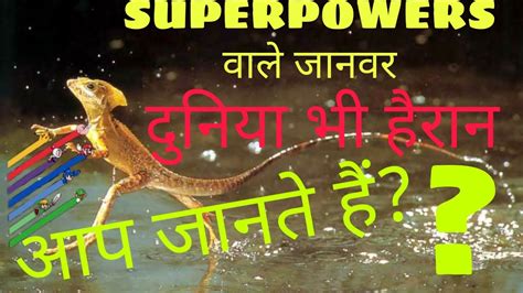 Amazing Animals Superpowers Top 5 Animals With Superpowers