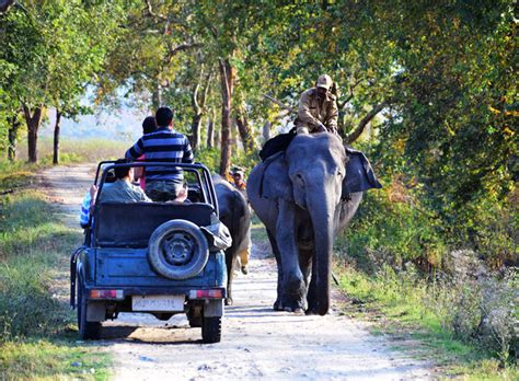 Famous Wildlife Sanctuaries In North East India