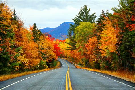 The 2020 fall foliage prediction map by smokymountains.com is a visual planning guide to the annual progressive changing of the leaves. The fall foliage in New England is set to be remarkable ...