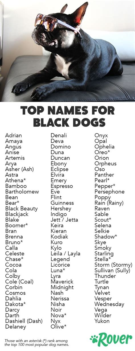 Top Names For Black Dogs