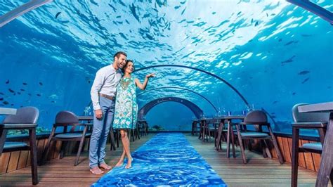 Dining Hurawalhi Island Resort Maldives Best Resorts In Maldives