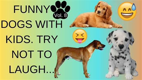 Funny Dog Video For Kids Vol 8 By Loving Each Pet Funny Dog