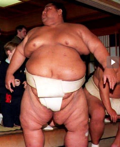 Chubby Bear Gallery And Pictures Sumo Wrestler Who Doesn T Like Them