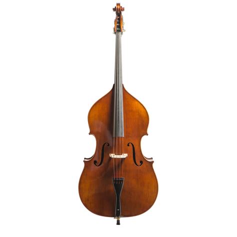 Eastman Vb305 Orchestral Double Bass With Flexocor Strings Bass Bags