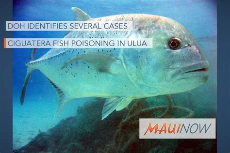 Doh Identifies Several Cases Of Ciguatera Fish Poisoning In Ulua Maui Now