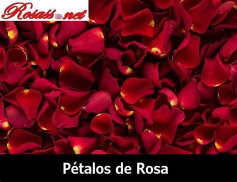 ⊛ PÉtalos De Rosa Naturales 【 Guía Y Comparativa