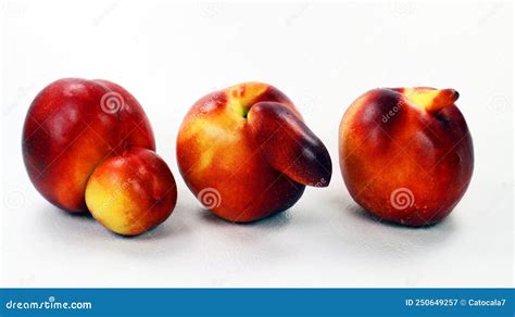 Three Unusual Shaped Nectarine Peaches Isolated On White Peach With A Nose Double Peach