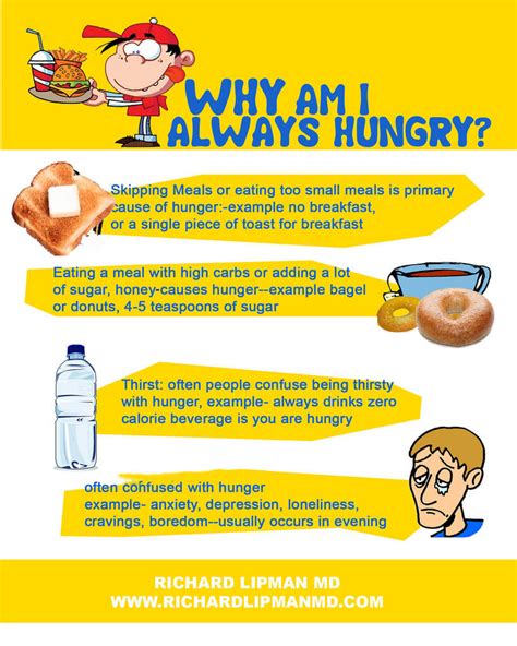 Infographic Why Am I Always Hungry Dr Ricahrd Lipman Miami Fl