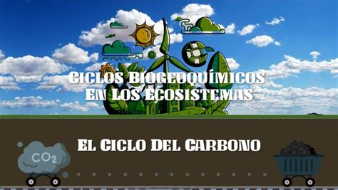 Ciclo BiogeoquÍmicos En Los Ecosistemas Y El Ciclo Del Carbono