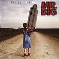 Mr. Big - Actual Size (2001) - MusicMeter.nl