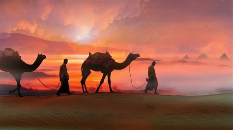 Top More Than 78 Camel Wallpaper Vn
