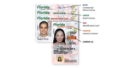 Florida Permit Practice Drivers License Sample Test Questions