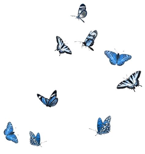 Aesthetic Blue Butterfly Png Dreamfanfictiononedirection