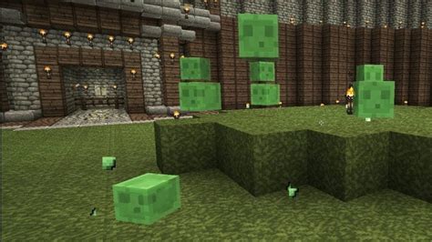 Minecraft Slimes Guide Everything You Need To Know Gamezo