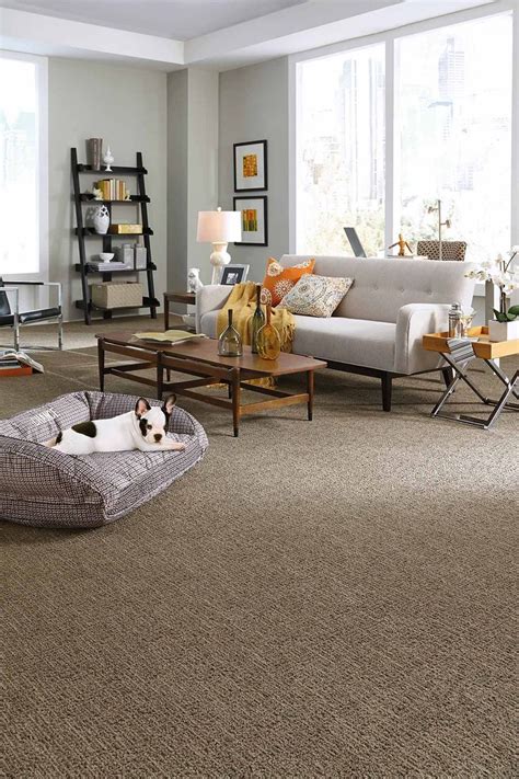 Living Room Transitional Carpet Tans Browns Brown Carpet Living Room