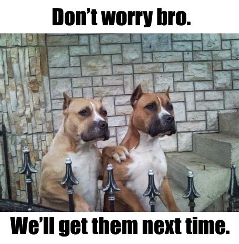 Dont Worry Bro