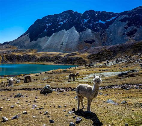 Ausangate Peru Hike Tierras Vivas Travel