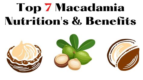 Top 7 Macadamia Nuts Nutritions And Benefits🍑incredible Benefits Of