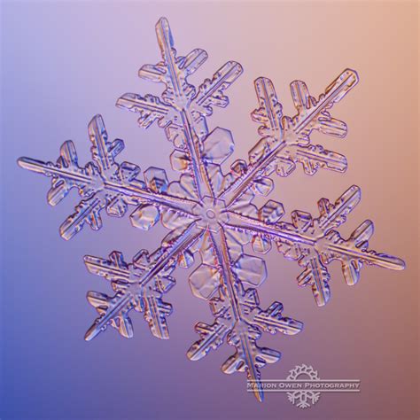 Beautiful Snowflake Photography