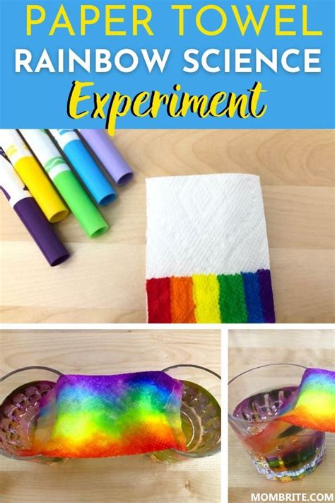 Grow A Rainbow On Paper Towel Experiment In 2021 Rainbow Activities