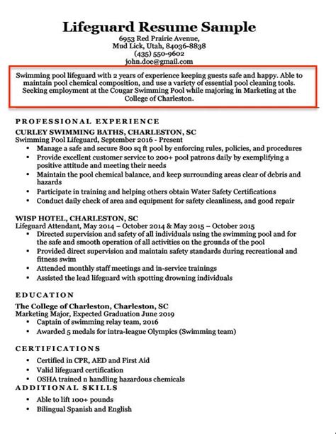 Resume Objective Examples For Students And Professionals