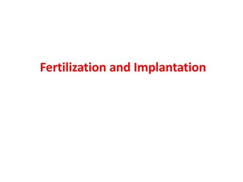 Fertilization And Implantation Ppt Download