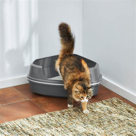 Frisco Corner Sifting Cat Litter Box With Rim Large 21 In Dark Gray