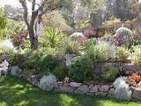 Hilly Backyard Landscaping Ideas Images