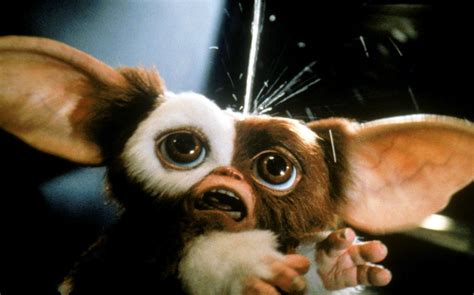 Gizmo Gremlins Wallpaper Images Of Gremlins 1 And 2 Blu Ray Review The