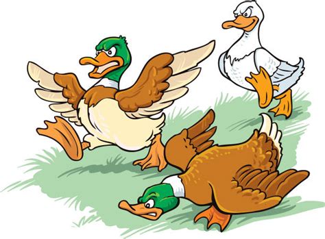 Cartoon Duck Stock Photos Pictures And Royalty Free Images Istock