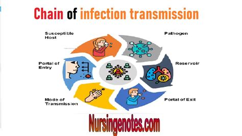 Chain Of Infection Transmission Nursingnotes