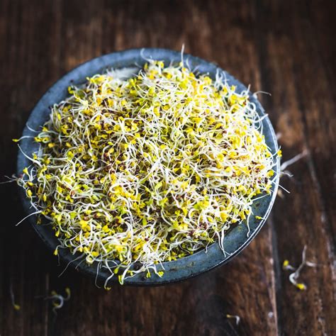 Organic Broccoli Sprouts 100g Riverford