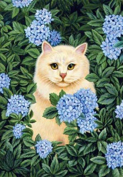 Persian Cat Blue Hydrangea Brownd Elizabeth Кошачий рисунок