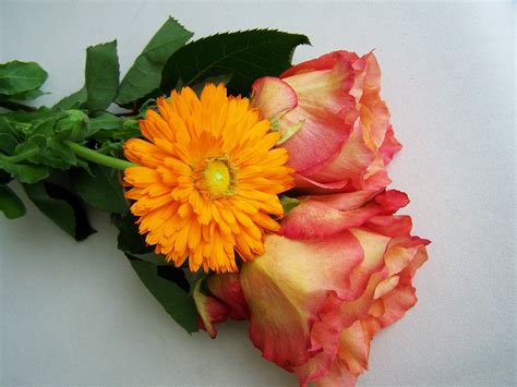 Blumenstrauß Rose Gerbera Kostenloses Foto Auf Pixabay Pixabay