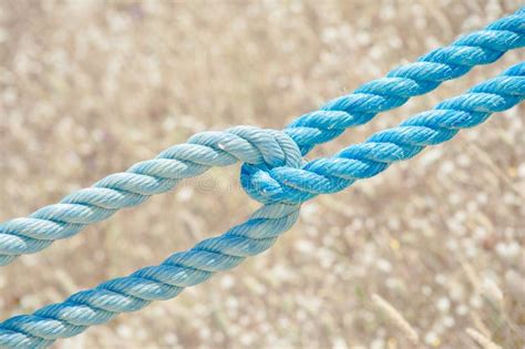 Blue Nylon String Rope Stock Image Image Of Safety 162032649