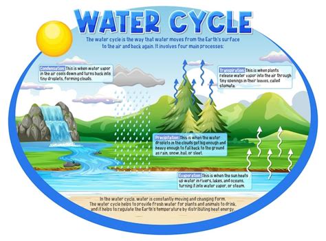 Free Vector Water Cycle For Science Education