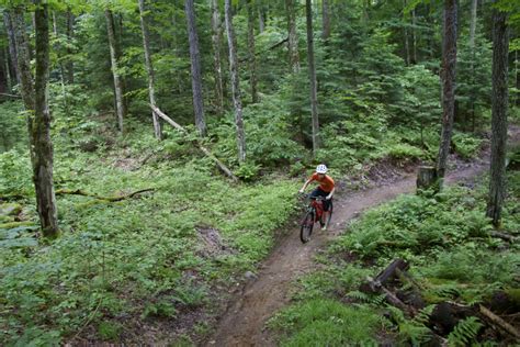 Best Trail Mountain Bike Discount Factory Save 51 Jlcatjgobmx