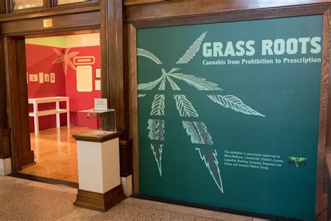 Museum Of Sonoma County Explores Long History Of Cannabis In Grass