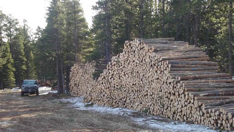 Learn more about the sabah timber company limited. Colorado Timber Industry Association | Partners for ...