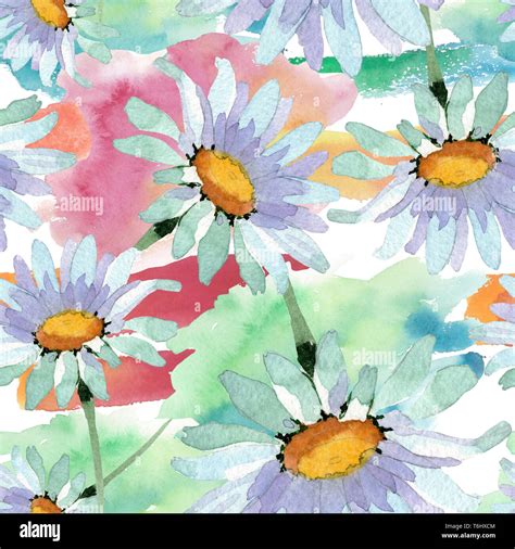 Big White Chamomile Floral Botanical Flowers Watercolor Background