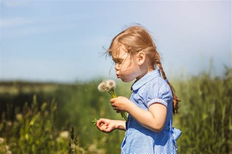 Little Girl Blowing On Dandelions In Summer In The Field Stock Image