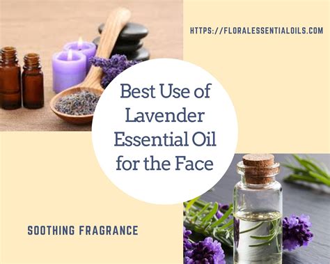 Use Lavender Essential Oil For The Face Floral Essential Oils