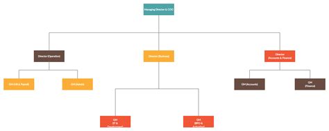 Demo Start Organizational Chart Template Organogram Org Chart
