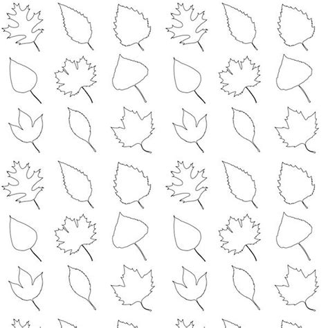 Traceable Leaf Patterns Coloring Home