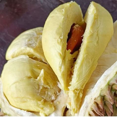 Aneka Resep Olahan Durian Mudah Dan Bikin Ngiler Foodklik