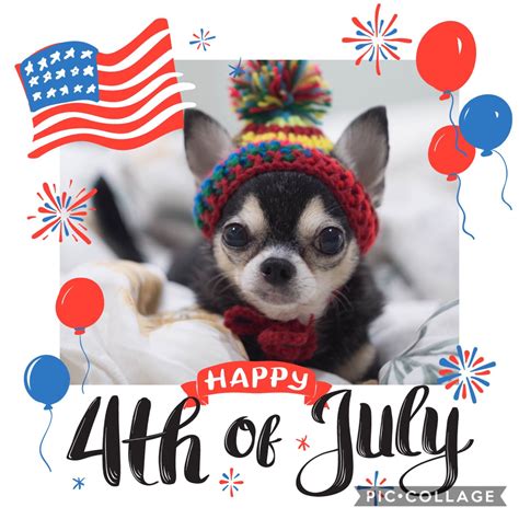 These quotes arose the feelings of nationalism and quotes are always inspiring us to live bravely & help each other so that we are sharing here best inspiring 4th of july quotes and sayings 2019. Happy 4th of July!!! #doglovers #petlovers #pets #dogs # ...