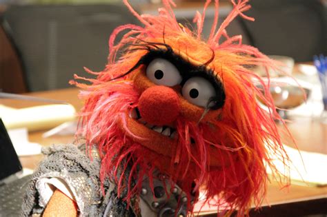 Muppet Show Characters Animal Images Galleries